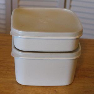 Vintage Igloo Sandwich and Salad containers
